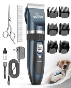 Top 5 Best Dog Supplies 2024 [Review Guide]